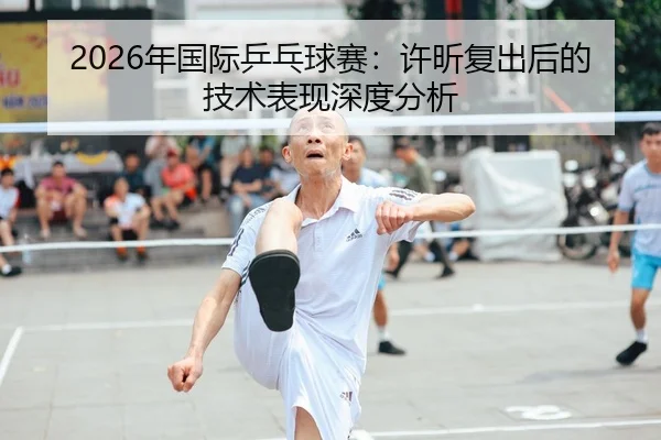 nian-guo-ji-ping-pang-qiu-sai-xu-xin-fu-chu-hou-de-ji-shu-biao-xian-shen-du-fen-xi-1-376.jpg