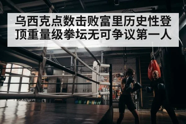 boxer training